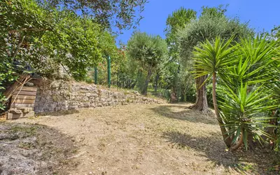 Grasse (06130)