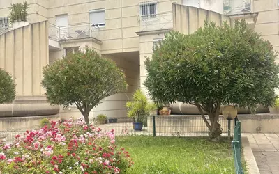 Montpellier (34000)