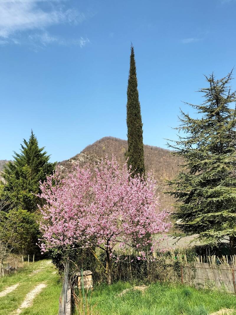 Montjoux (26220)