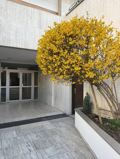 Vente appartement studio Paris 12e