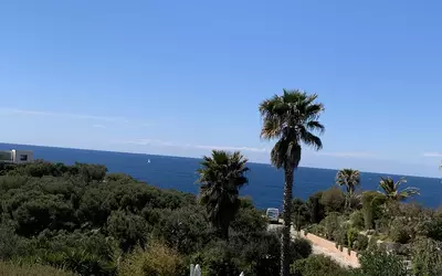 Saint-Cyr-Sur-Mer (83270)
