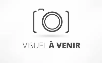 Panissières (42360)