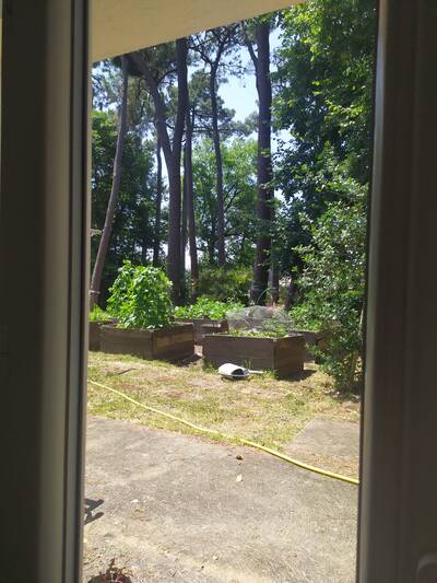 Location appartement studio Joué-lès-Tours (37300)