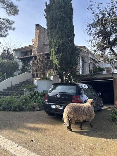 Vente maison 5 pièces Montegrosso (20214)