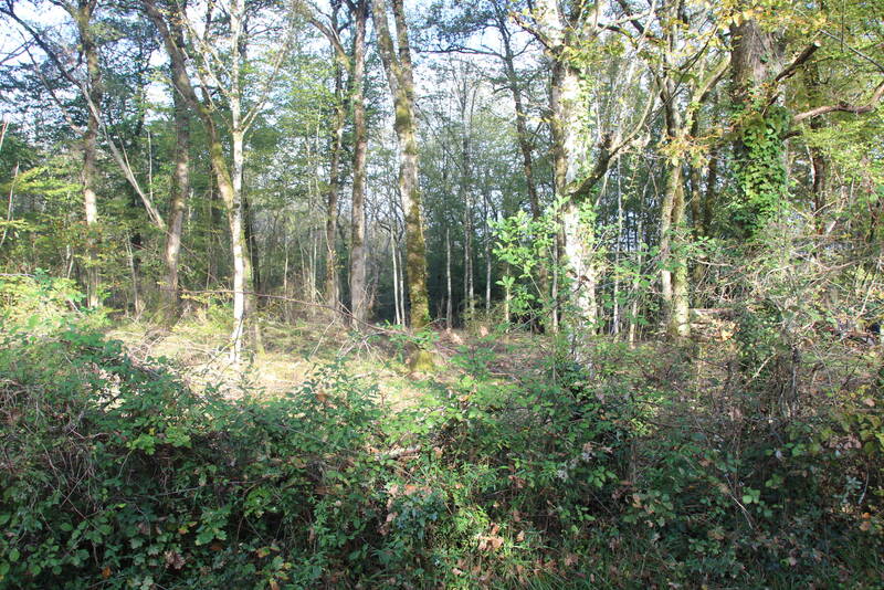 Saint-Astier (24110)