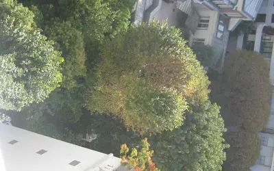 Paris 17E