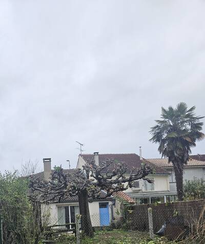 Vente maison 4 pièces Montlieu-la-Garde (17210)