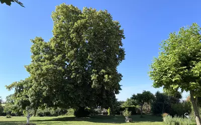 Coux-Et-Bigaroque (24220)
