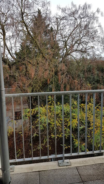 Location appartement 2 pièces Toulouse (31)