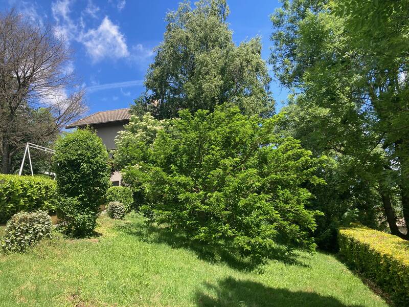 Fraisses (42490)