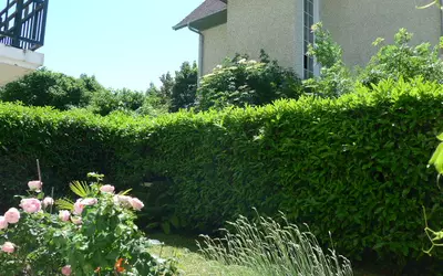 Thonon-Les-Bains (74200)