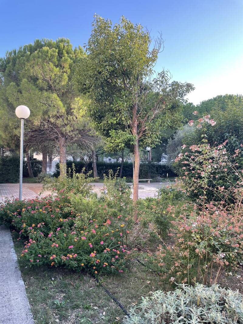 Montpellier (34000)