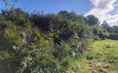 Trévou-Tréguignec (22660)