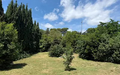 Cannes (06150)