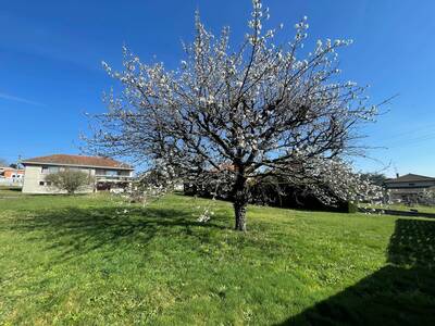 Vente maison 5 pièces Villerest (42300)