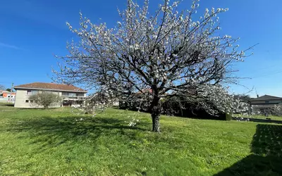 Villerest (42300)