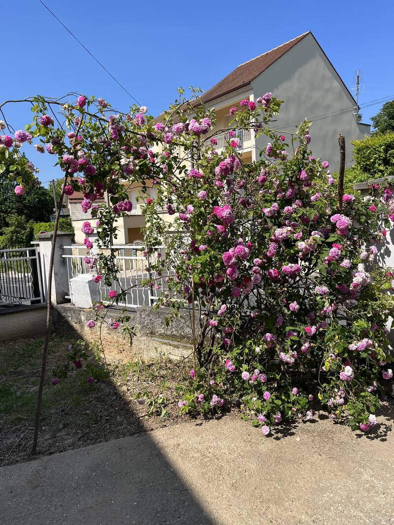 Bures-Sur-Yvette (91440)