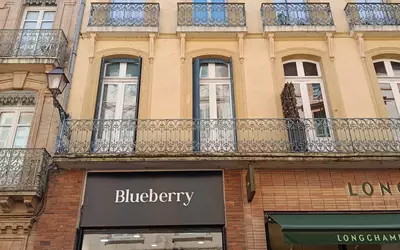 Toulouse (31000)