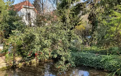 Franconville (95130)