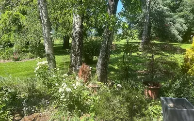 Paulnay (36290)
