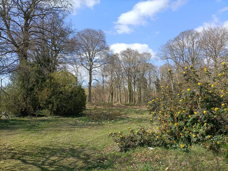 Sillery (51500)