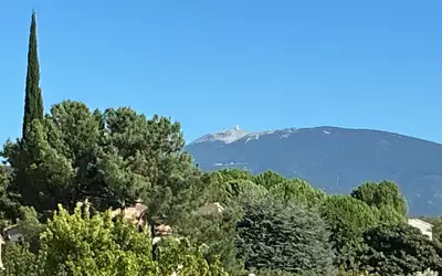 Vaison-La-Romaine (84110)