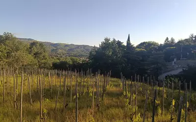 Saint-Péray (07130)