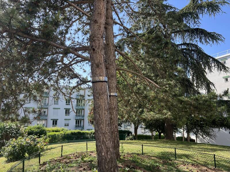Rueil-Malmaison (92500)