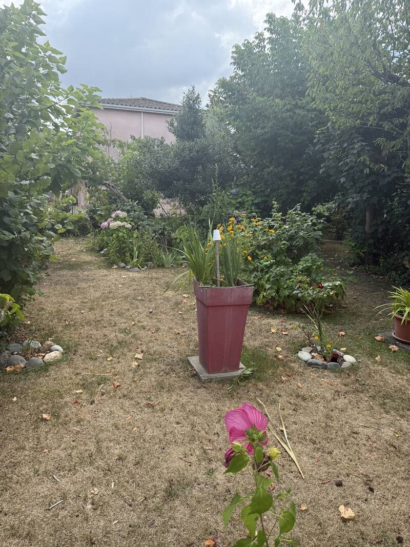 Toulouse (31000)