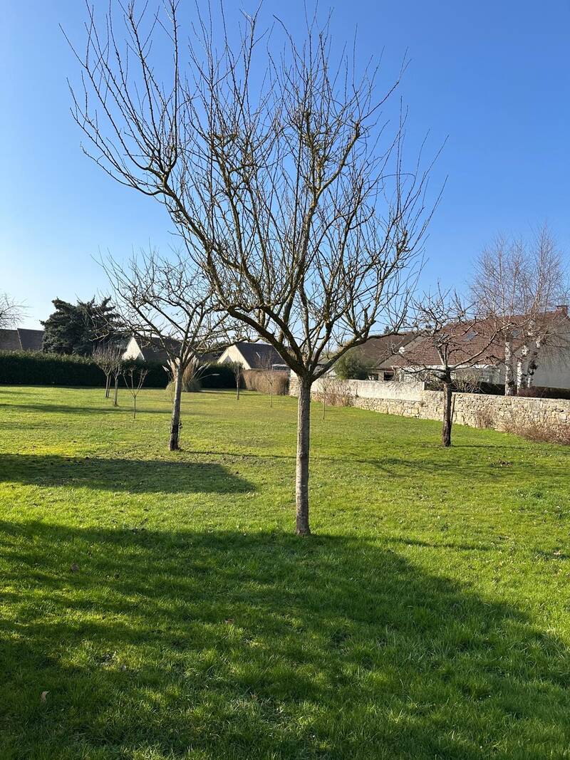 Le Mesnil-En-Thelle (60530)