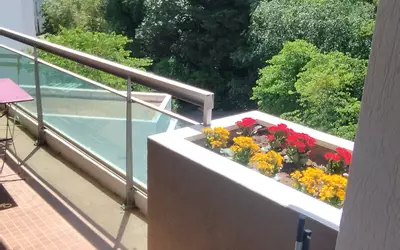 Montpellier (34000)