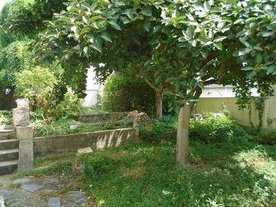 Location maison 5 pièces Saintes (17100)