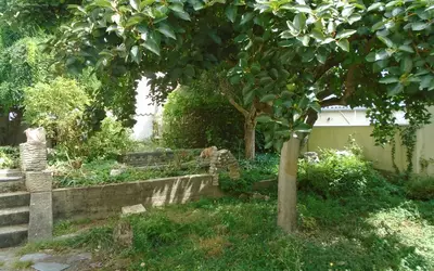 Saintes (17100)