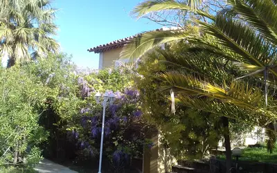 Le Castellet (83330)