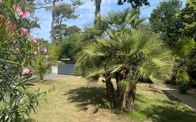 Saint-Brevin-Les-Pins (44250)