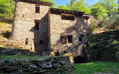 Moissac-Vallée-Française (48110)
