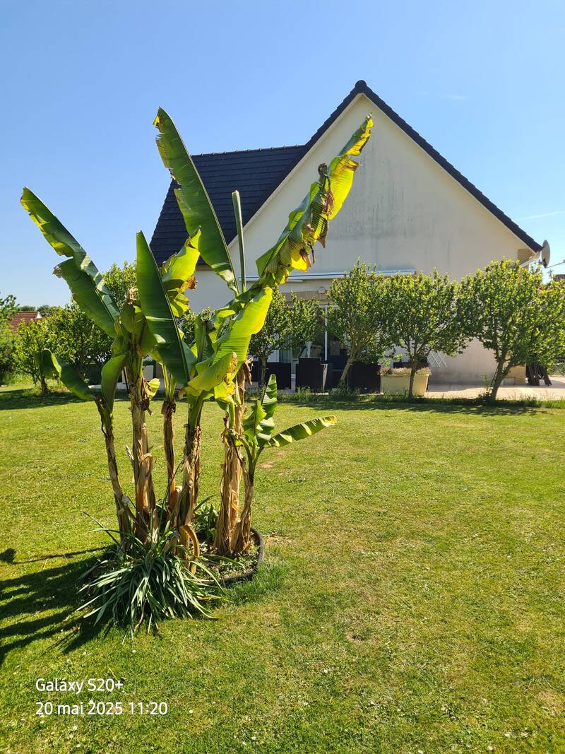 Bettencourt-Saint-Ouen (80610)