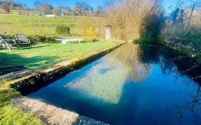 Camembert (61120)