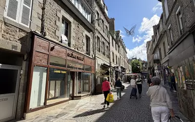 Saint-Brieuc (22000)