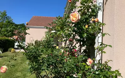 Rambouillet (78120)