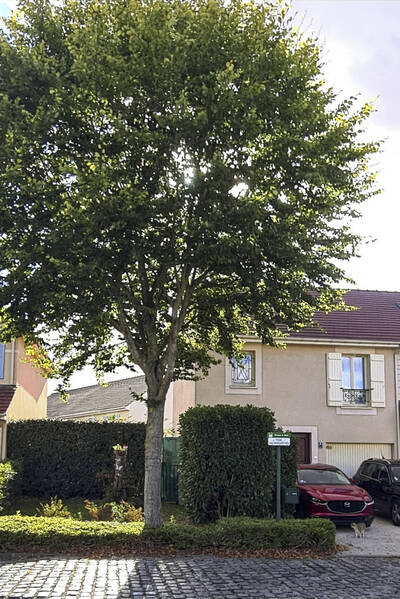 Vente maison 4 pièces Moussy-le-Neuf (77230)