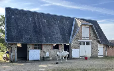 Magnac-Laval (87190)