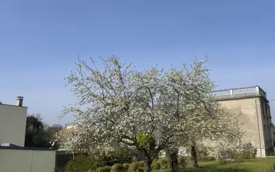 Montigny-Lès-Cormeilles (95370)