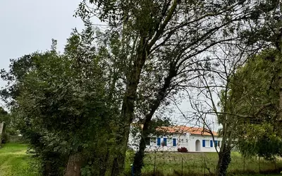 Bouin (85230)