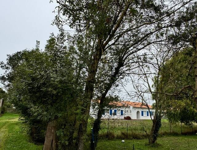 Bouin (85230)