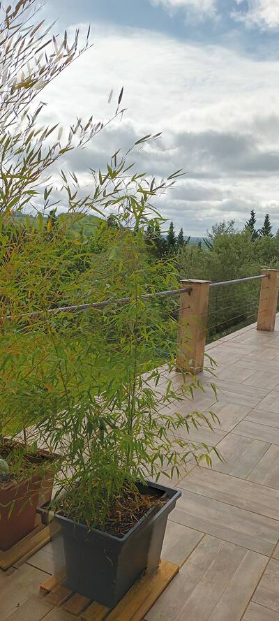Vente maison 7 pièces Piquecos (82130)