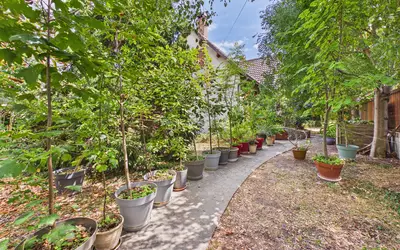 Houilles (78800)