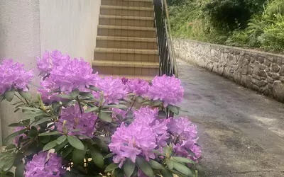 + Dépendance De 40 M²