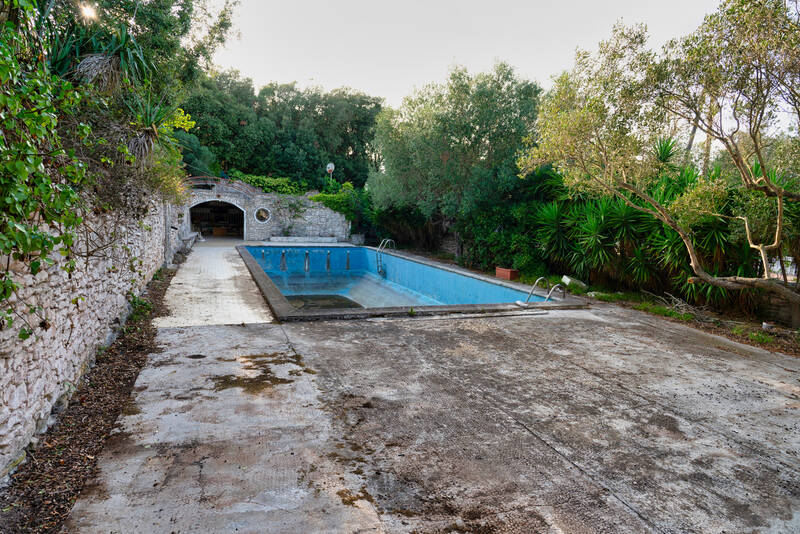 Bonifacio (20169)
