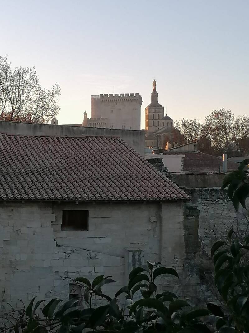 Avignon (84000)